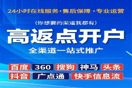 顶尖SEM竞价代运营公司案例分析